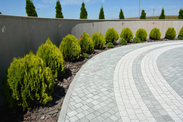 Best Interlocking Driveway Pavers  in Garden Ridge, TX